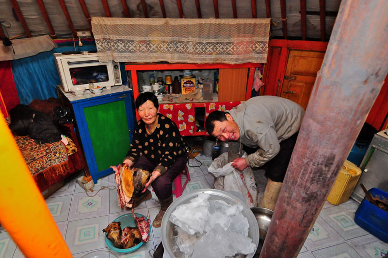 Mongolie